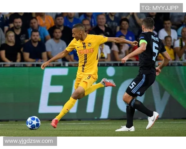 德国与瑞士的较量历史与现状分析探讨两国足球文化的异同